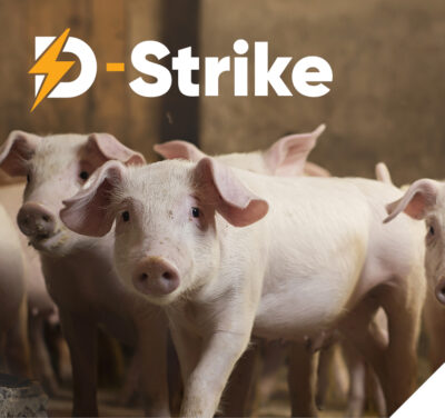D-Strike nursery pigs