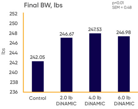 DINAMIC Finisher Research DINAMIC Finisher Research