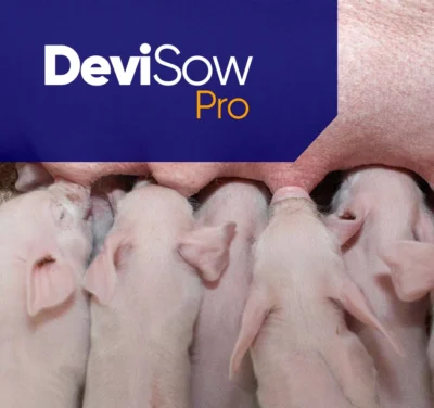 DeviSow Pro Footer - 850 x 800 px DeviSow Pro Footer - 850 x 800 px