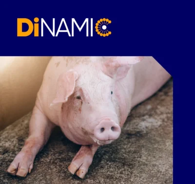 DiNAMIC Footer - 850 x 800 px DiNAMIC Footer - 850 x 800 px