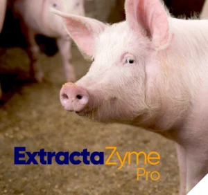 ExtractaZyme Pro Footer - 850 x 800 px