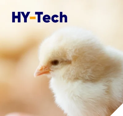 HY-Tech Footer - 850 x 800 px HY-Tech Footer - 850 x 800 px