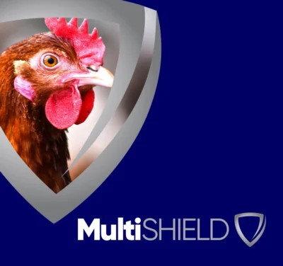 MultiSHIELD Footer - 850 x 800 px MultiSHIELD Footer - 850 x 800 px