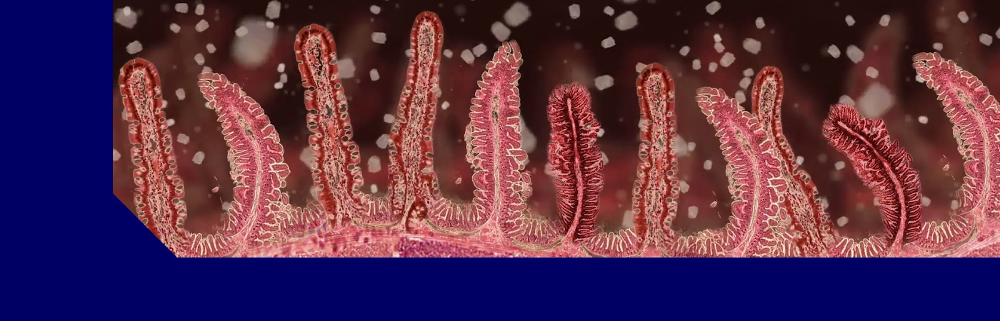 UltraGuard Quattro Banner - 1400 x 450 px