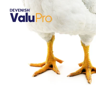 ValuPro Footer - 850 x 800 px ValuPro Footer - 850 x 800 px