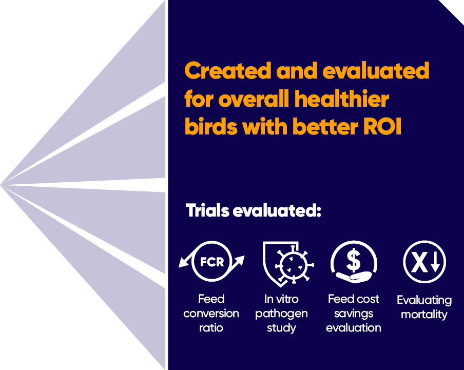ValuPro Graphic