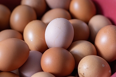 Brown eggs