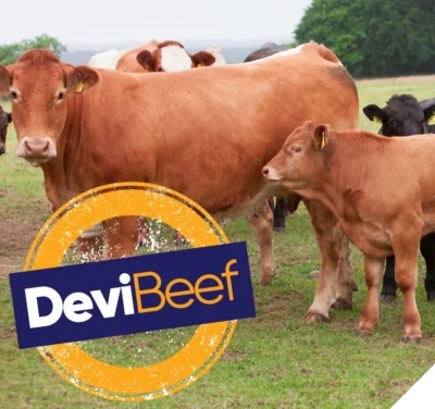 DeviBeef Footer - 850 x 800 px DeviBeef Footer - 850 x 800 px