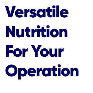 DeviBeef Tagline - 300 x 300 px