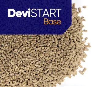 DeviSTART Base Footer - 850 x 800 px