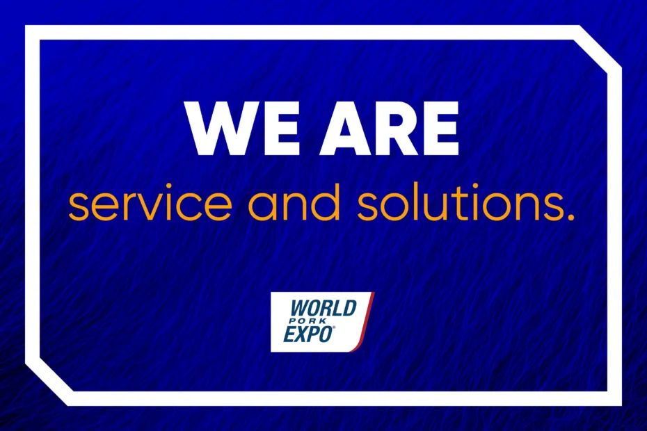 Blue background with text "We are service and solutions."