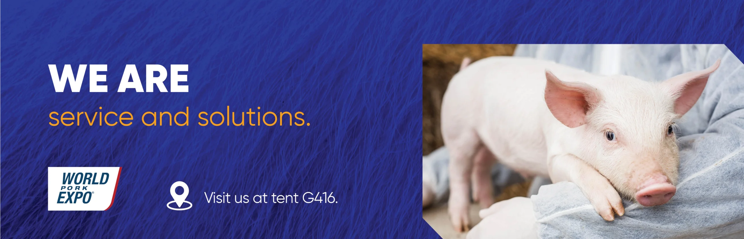 Small pig being held. With the text "We are service and solutions."