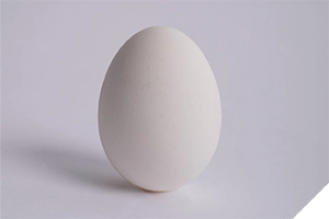 Poultry Layer